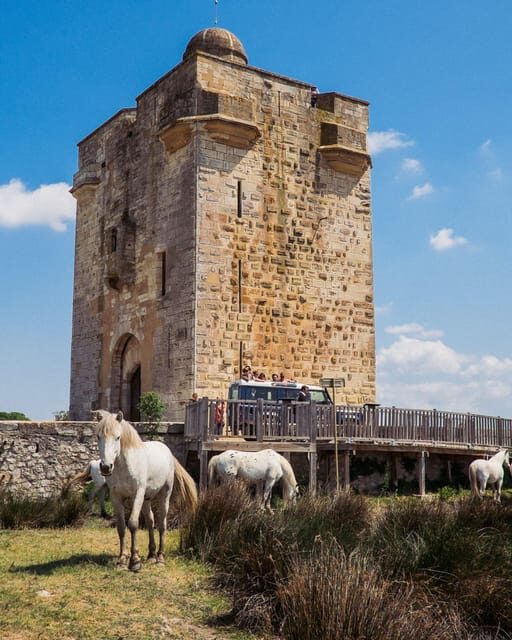 Safari 4x4 in Camargue / VIP Tour 3h30 / Grau du Roi - FAQs