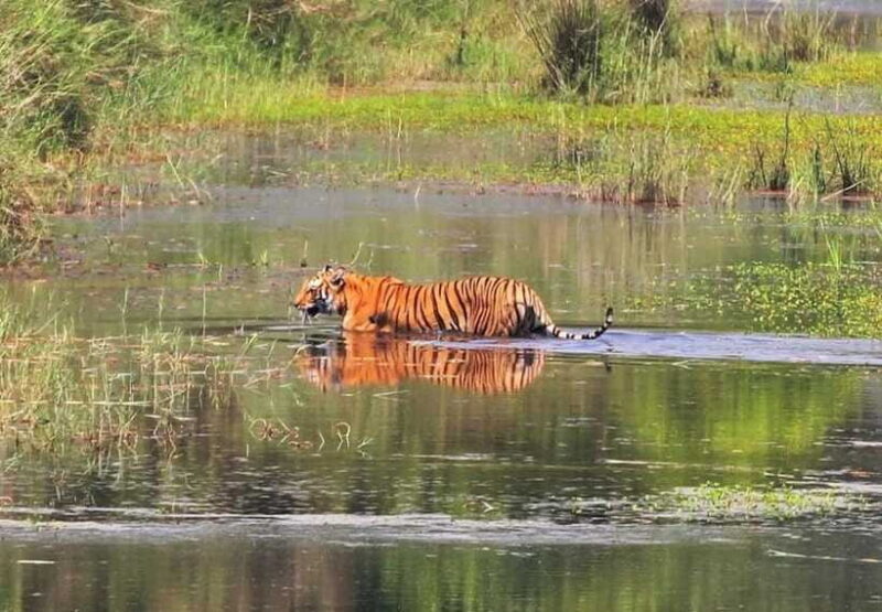 Safari Adventure in Bardia 3D/2N - FAQ