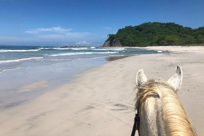 Safari & Barigona Beach on horseback - Key Points