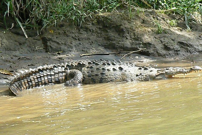 Safari Boat on Sarapiqui River with Lunch from San Jose - FAQ