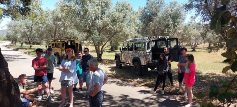 Safari & Boat Tour - Mountains & Dolphins - What Weve Learned from the Reviews
