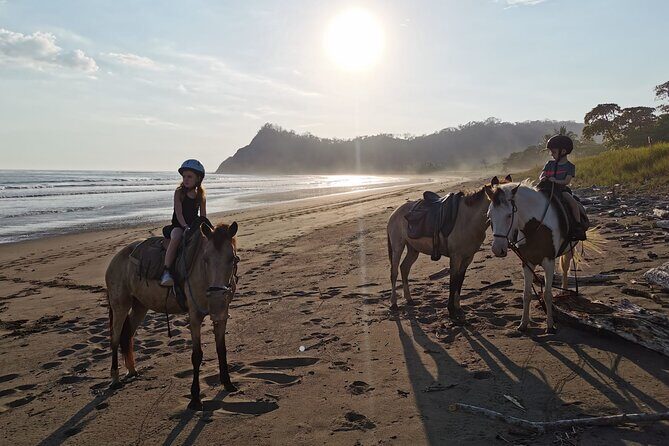 Safari & Buenavista Beach Horse Riding Tour - Key Points