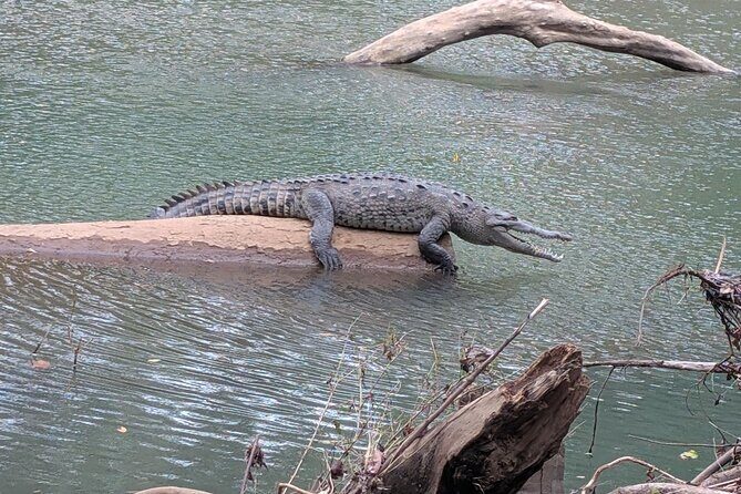 Safari & Buenavista Beach Horse Riding Tour - FAQ