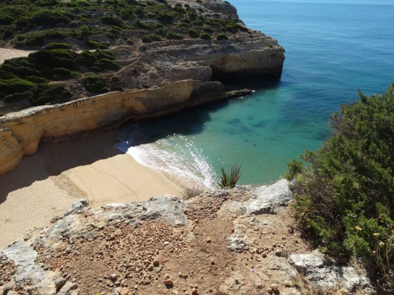 Safari Come and Discover Lagos Sagres Guided Tour - An In-Depth Look at the Lagos to Sagres Guided Tour