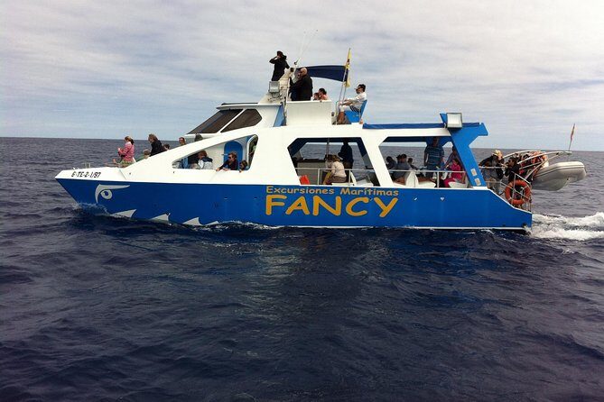 Safari Cumbre Vieja - Exploring Safari Cumbre Vieja: A Memorable Dolphin and Whale Cruise on La Palma