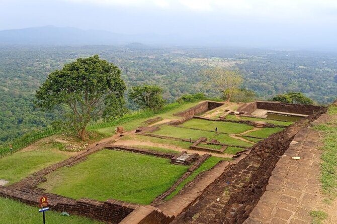 Safari Day Tour to Sigiriya Lion Rock and Golden Cave Temple - Comfort and Convenience: Transportation, Refreshments, and Small Group Size