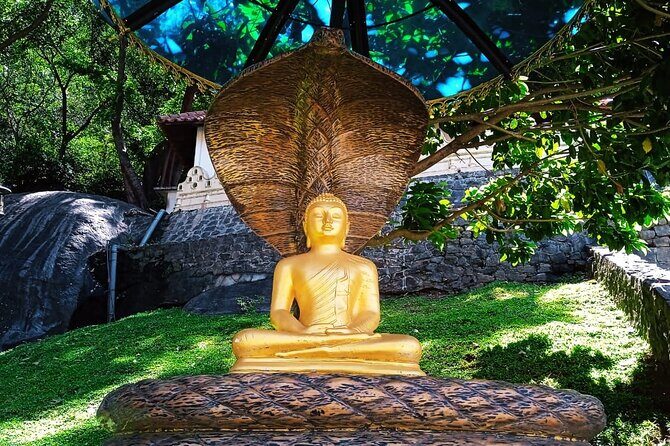 Safari Day Tour to Sigiriya Lion Rock and Golden Cave Temple - Who Will Love This Tour?