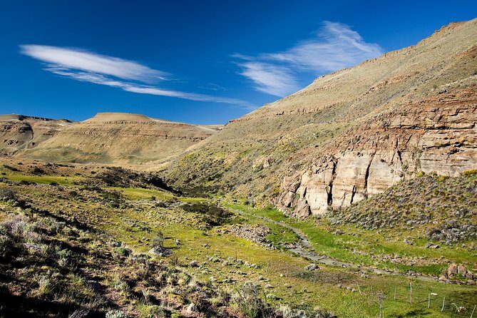 Safari Experience - Wildlife & Steppe - An In-Depth Look at the Safari Experience