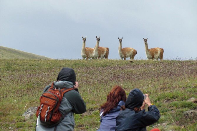Safari Experience - Wildlife & Steppe - Practical Tips for Your Safari Experience