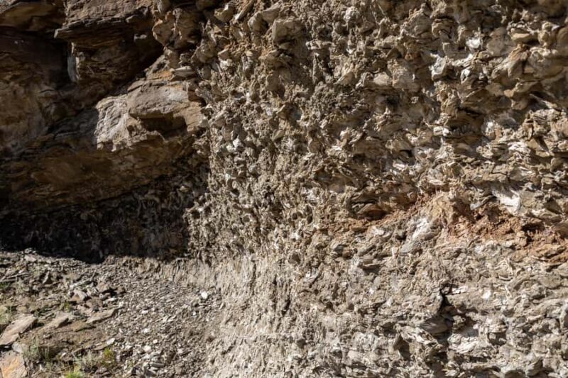 SAFARI EXPERIENCE - WILDLIFE & STEPPE - Key Points