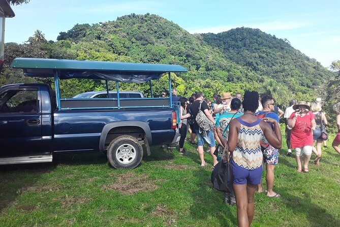 Safari Extravaganza - Exploring the Safari Extravaganza in St. Kitts