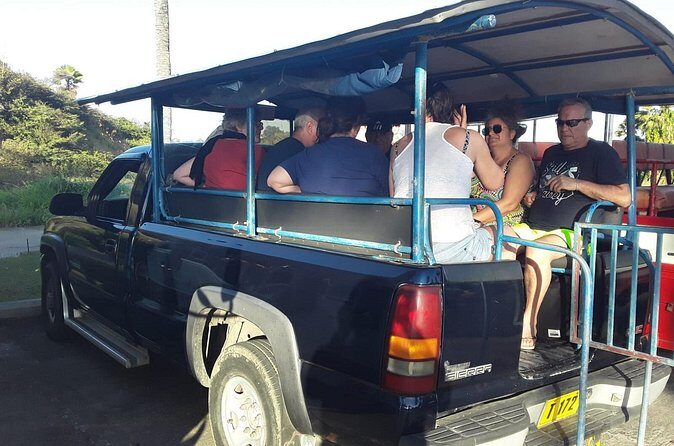 Safari Extravaganza - Practical Tips for Your Safari Extravaganza