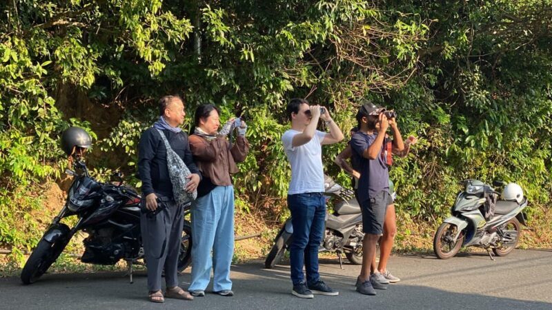 Safari - Finding the most endangered monkey in the World - FAQ