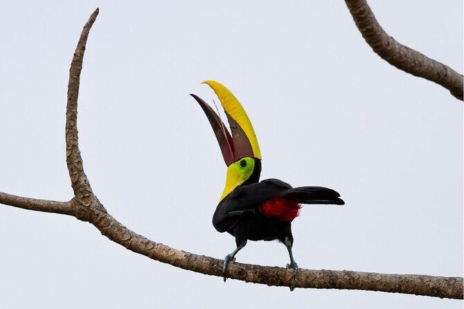 Safari Float and wild life experience in Arenal - Key Points