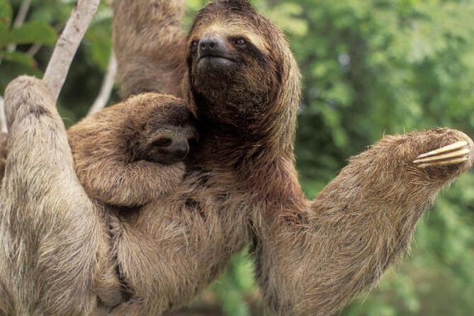 Safari Float at Peñas Blancas River - FAQ