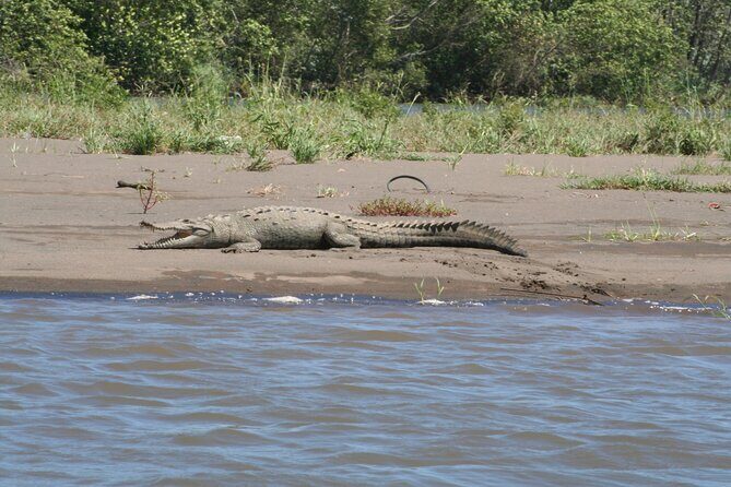 Safari Float on Corobicí River Incl. Lunch - Authentic Review Highlights