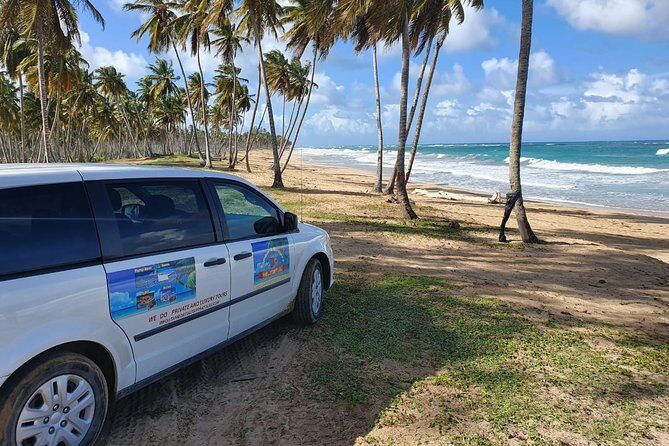 Safari Full Day VIP Experience - Who Is This Tour Best For?