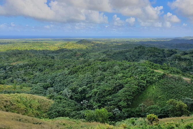 Safari Full Day VIP Experience - FAQ