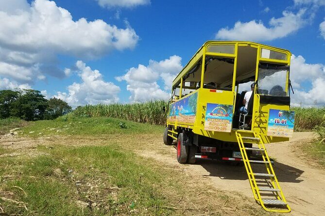 Safari Half Day Experience - The Sum Up