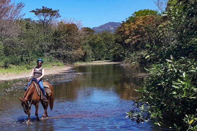 Safari Horse Riding Tour - Key Points