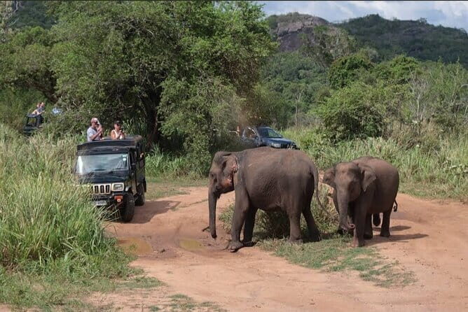 Safari Jeep in Hurulu Eco Park Sri Lanka wit Pigeon Island Tours - Key Points