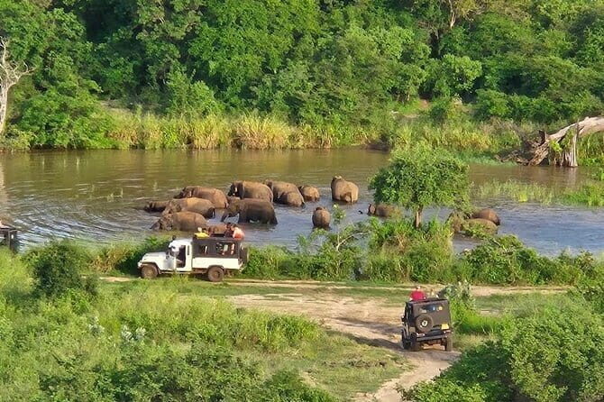 Safari Jeep in Hurulu Eco Park Sri Lanka wit Pigeon Island Tours - Who Will Love This Safari?