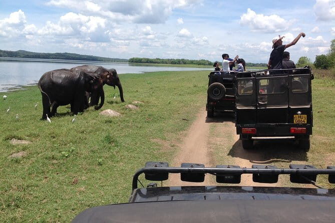 Safari Jeep in Hurulu Eco Park Sri Lanka wit Pigeon Island Tours - The Sum Up: Who Should Consider This Tour?
