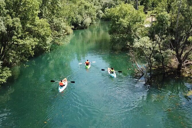Safari kayak adventure w BBQ & Beer - Who Will Love This Tour?