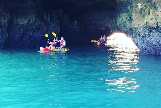 Safari & Kayaking Tour - Final Thoughts on Value and Experience