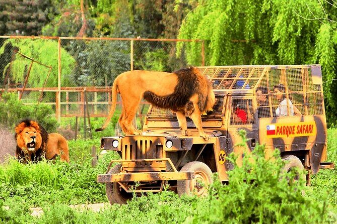 Safari Park, Wild Experience - Possible Drawbacks or Considerations