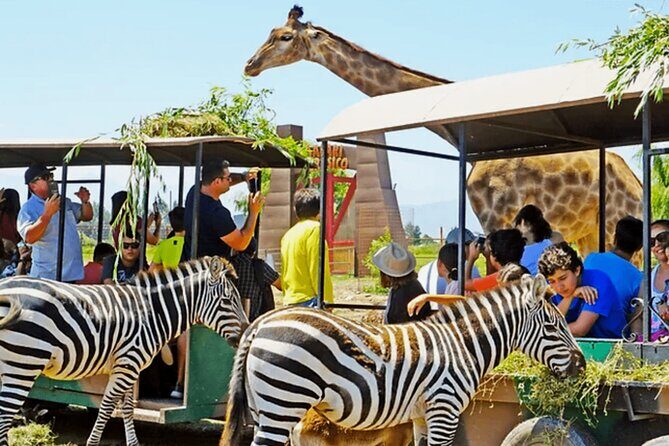 Safari Park, Wild Experience - Who Should Consider This Tour?