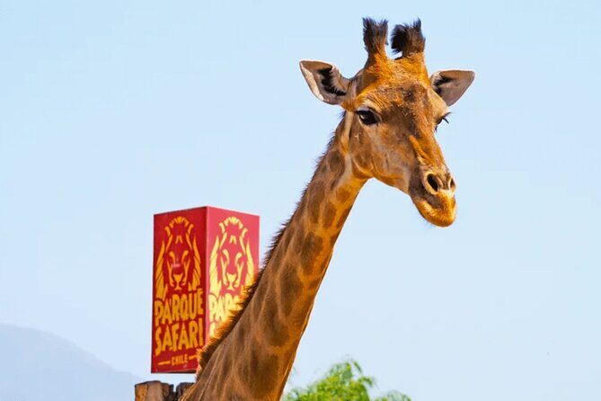 Safari Park, Wild Experience - Final Thoughts