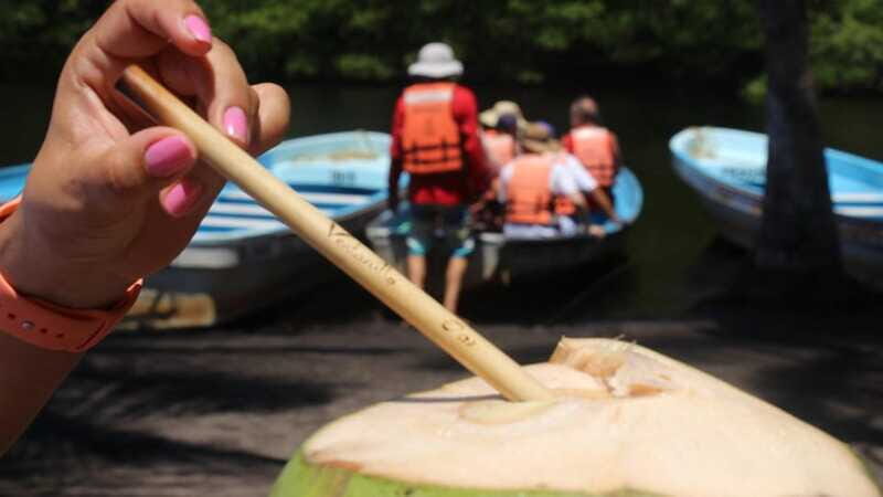 SAFARI THROUGH THE MANGROVES IN VENTANILLA OAXACA - Practical Tips for Your Trip