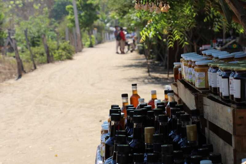 SAFARI THROUGH THE MANGROVES IN VENTANILLA OAXACA - Who Will Love This Tour?