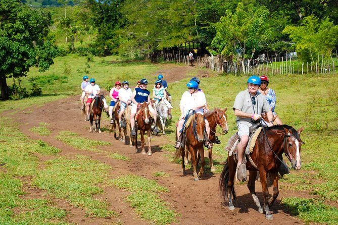 Safari Tour from Punta Cana - A Deep Dive into the Safari from Punta Cana