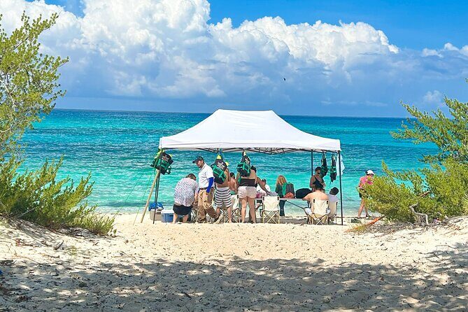 Safari Tour  Paradisiacal Excursion to Bahía de las Águilas - Experience the Unmatched Beauty of Bahía de las Águilas on a Dominican Safari