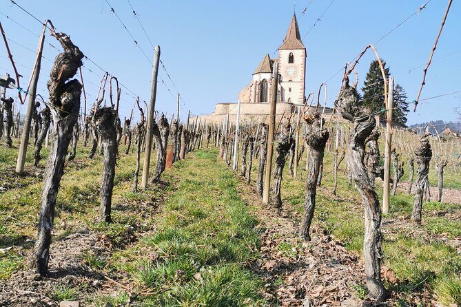 Safari-Tour: the emblematic and Perfume Workshop of Alsace, for the day - Who Should Consider This Tour?