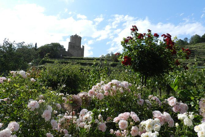 Safari-Tour: the emblematic and Perfume Workshop of Alsace, for the day - Exploring the Itinerary in Detail