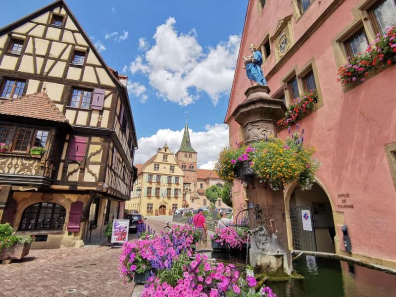 Safari Wine Villages & Wine tasting - Discover the Charm of Alsace: Safari Wine Villages & Wine Tasting Tour