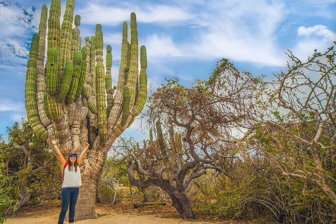 Safari with Camel Caravan to Explore Bajas Nature, Culture and Cuisine - FAQ