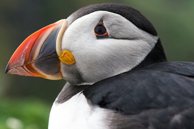 Safe Ride for Travellers to Edmonton - An In-Depth Look at Safe Ride for Travellers to Edmonton