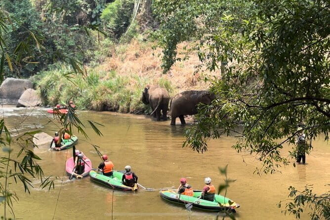 Safety whitewater rafting, Kayak, Quad bike , Trekking in Chiangmai - Final Thoughts: Who Is This Tour Best For?