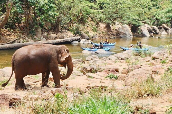 Safety whitewater rafting, Kayak, Quad bike , Trekking in Chiangmai - Frequently Asked Questions