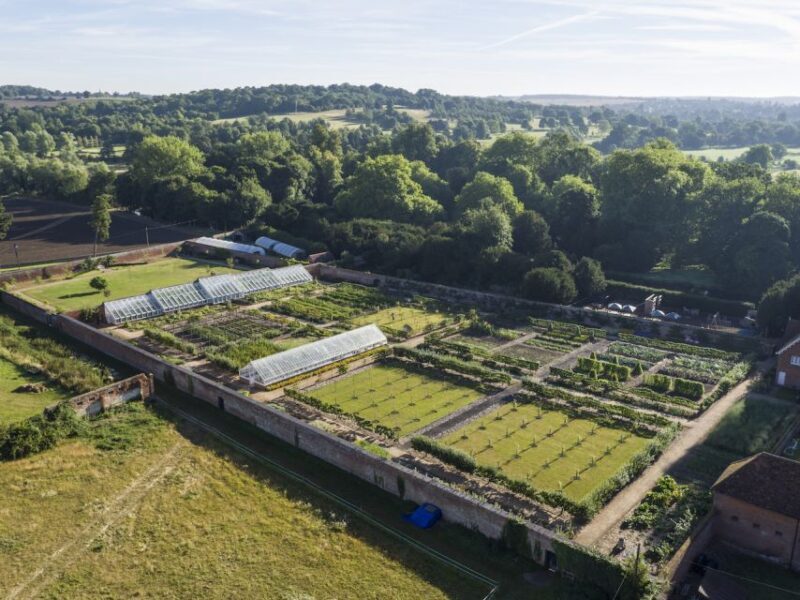Saffron Walden: Audley End House and Gardens Ticket - Final Thoughts: Is Audley End Worth It?
