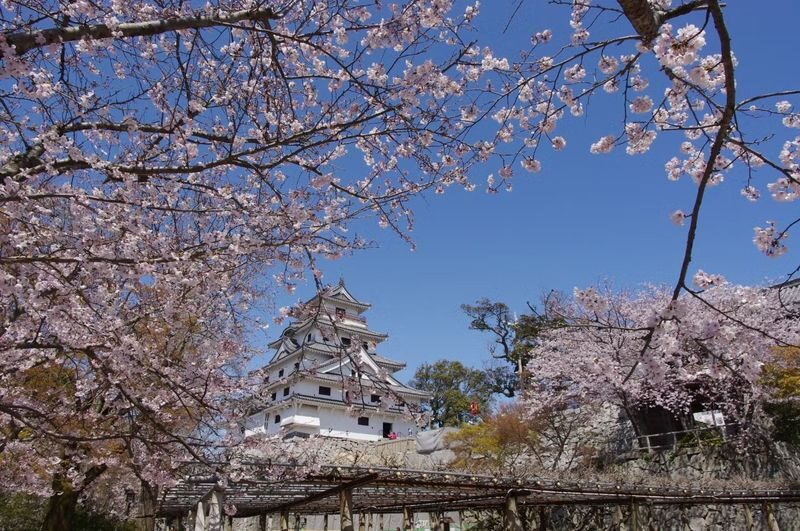 Saga: Karatsu Castle Ticket - Start with Karatsu’s sea-facing castle