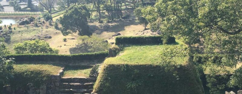 Saga: Karatsu Kunchi, Balloon, & Fox Wedding Festivals Tour - Who This Tour Is Best For