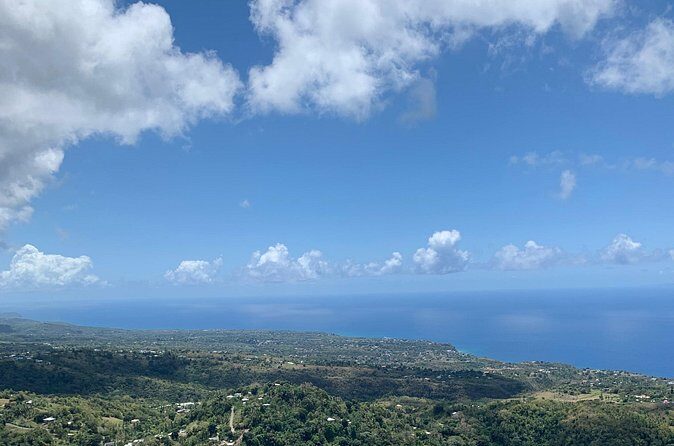 Sage Premier Taxi and Party Tours - Who Is This Tour Best For?