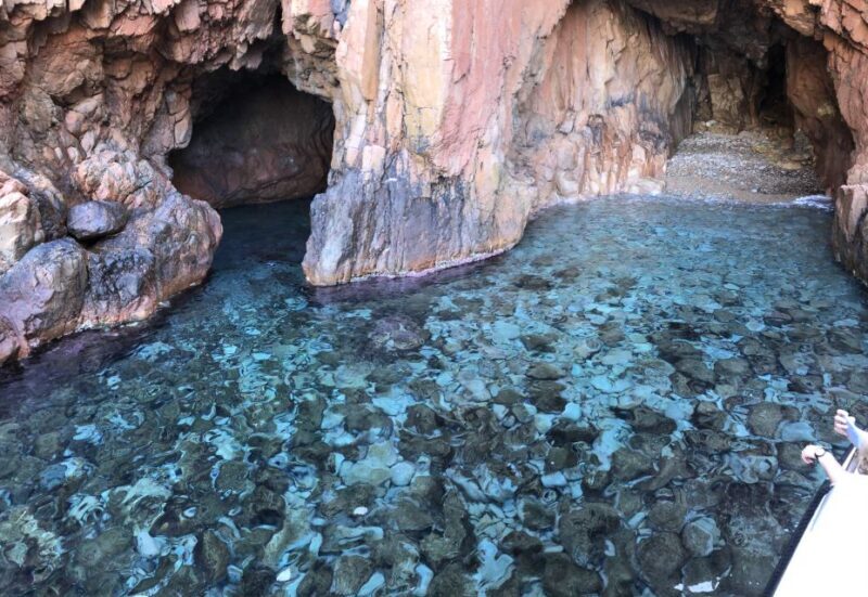 Sagone/Cargèse: Croisière Scandola, Piana, Girolata Baignade - Who Will Love This Tour?