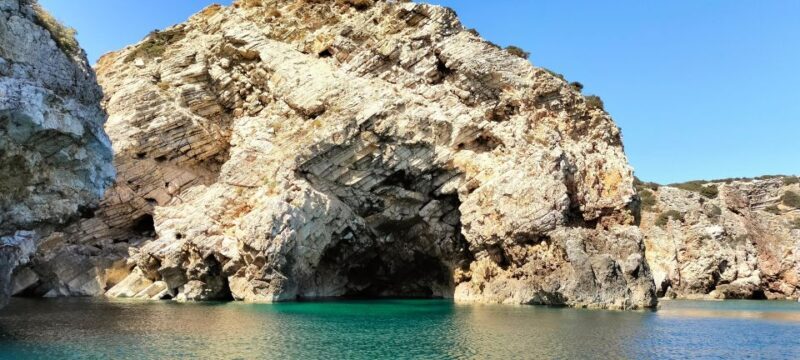 Sagres: Wildlife Tour Dolphins and Caves - Key Points