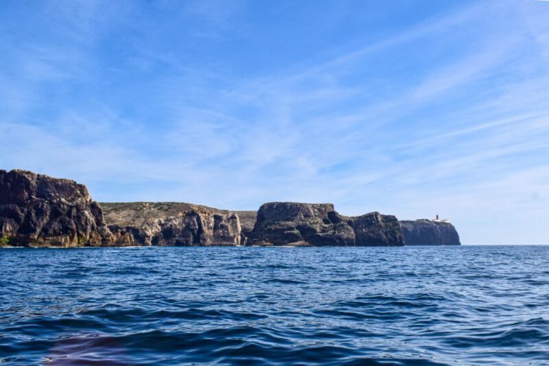 Sagres: Wildlife Tour Dolphins and Caves - What to Expect on the Boat & During the Trip